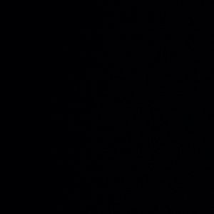 Meet your Posher, Elly